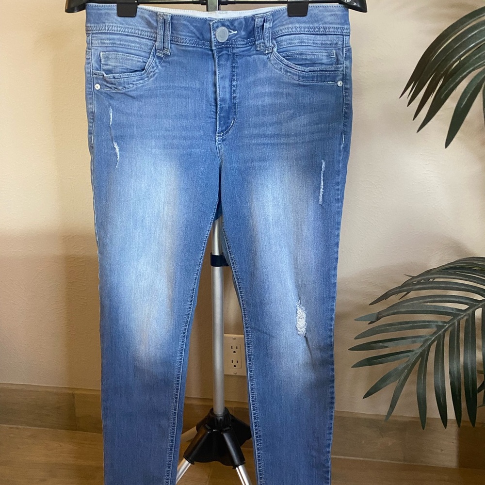 Democracy Blue Skinny Jeans with Stretch and Distressed Details